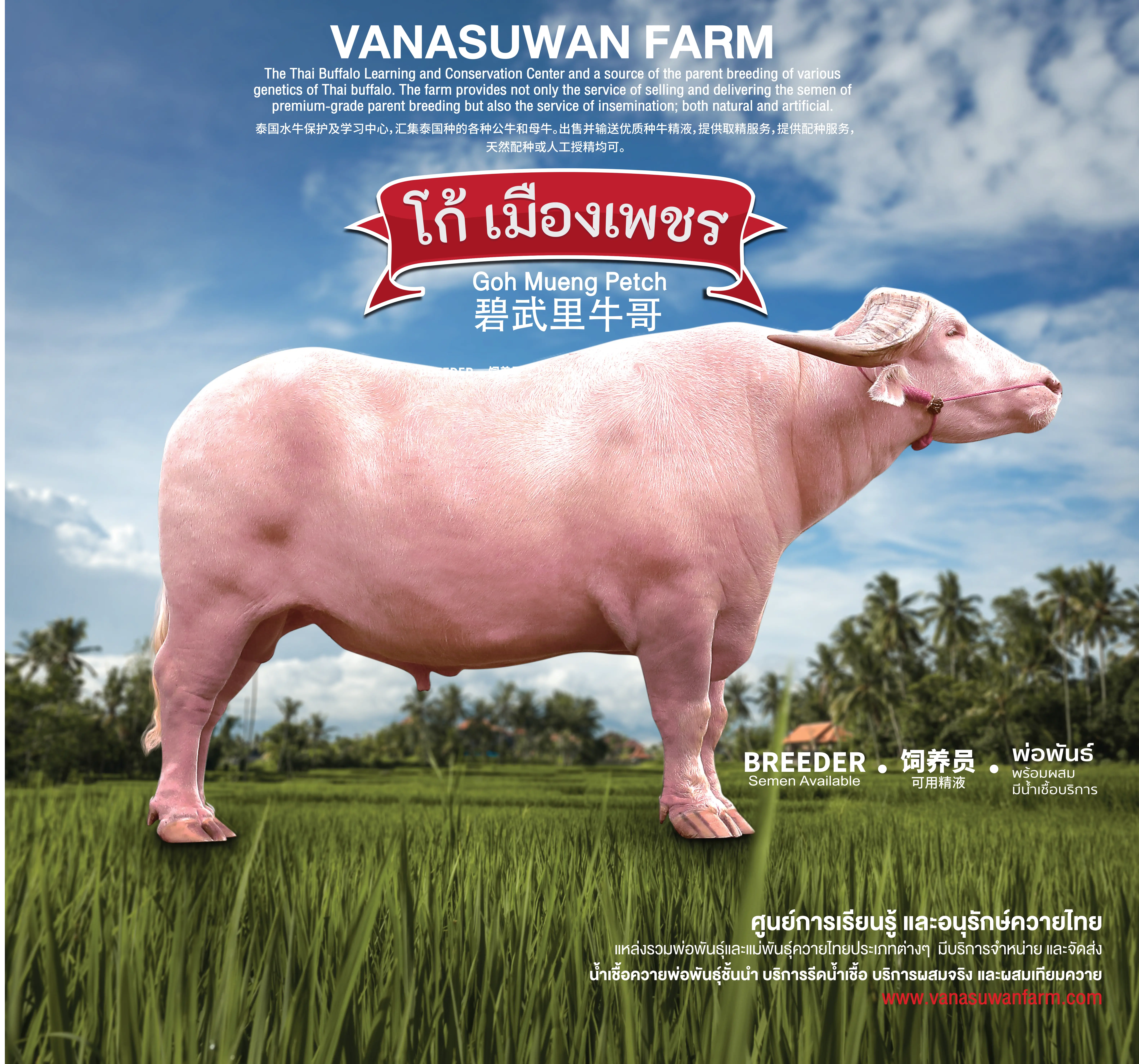 vanasuwanfarm