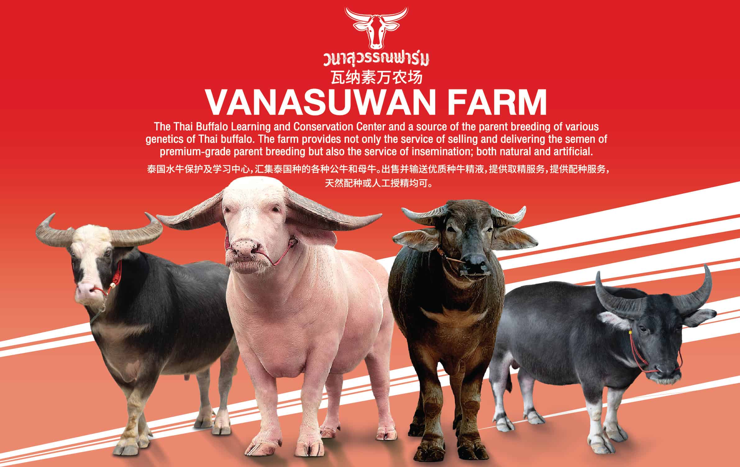 vanasuwanfarm